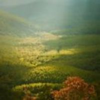 04453acd417316081b9a7faeedbe294403ff8dc9