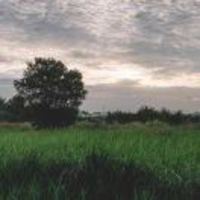 33e5680a2431eac5236a5f2822ab15888b9caf12