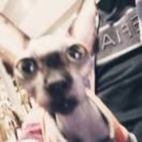 F29f00477ef2034ddc20a5ca08ed4962b9916707