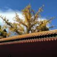 Bd539a4076710f991c38bccb1740bedb8fdb5848