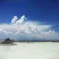 C2d49fdc304249d169b89f8480a0e36dbf13165b