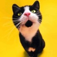 06a9483f5cd48e699231087505ba102340eb5570