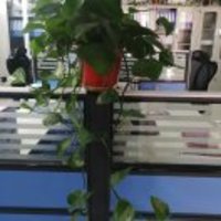 6bf6048f6e3b24824f2dd48b0c3da31f5ed2986e