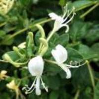 7296ba9a7f04ee6e008dfcfcfb4c82993db180a7