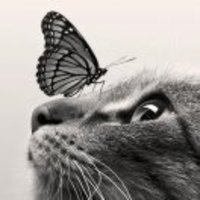 A824f46851508d0b347b07b4f8fba8a50051ab2a