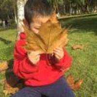 57223ac5872432997098f829967639ca57cfabf4