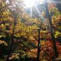 Ef5cb34497bf8f566170681485e5dc36819d0870