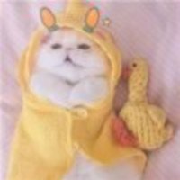 Bdac0e5aee9d5d9af342c971aadd9546ff4242df