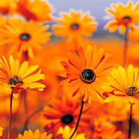 Be30d22735ceb549e0ec47ce622badfb3874f63d