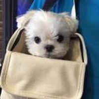 14922251f1a9db7c406c2972503320f198679fa7