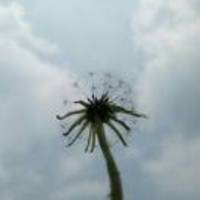 55d3e359bd394efd07885f494bc7361000a66f0c