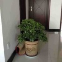 0722e81c68aeaaf362f84c560cb3720ce98f285e