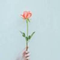 6ef8543114d5e772c6bdf3d4472a4c42660c70b1