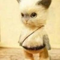 3908e912cac70e6aa2dc93a5e07d5151d823e9de