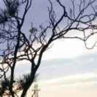 F75958465e7e8d03ad49ccd39af3f24d2ee564ef