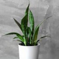 C0c725a87d4511a45a65bec7692f2061d3e6ec42