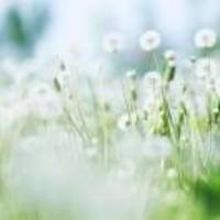 232ec7cbdf169385a391782847ea0d29a0ff8a41