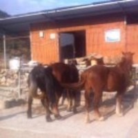 9f0b9981c9f33b60bc12dd4c8ab95e61118b22ce