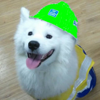 6baeef6d3fefde41b9c578ad43196f5ecd13f2d2