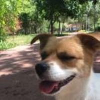 B11864e7982138f843f23206507933563b23a533