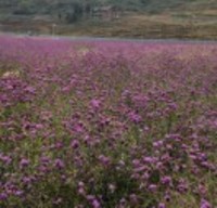 A5b2d3a898ec0a8023fdd522523152faede54060