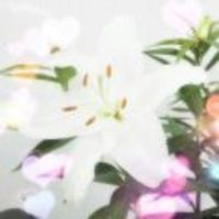 61416e7e60791cf13f860ecf416e3b0e32f9862e