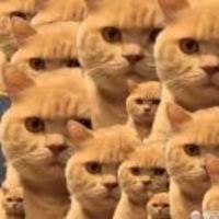 6d74796742be5a6ea64498c7dfcc119b9bf5b1a1