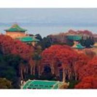 68aecd650460d7795df6c8c3913d7a2849882203