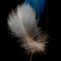 1e812364562283aeec5e281dcb5e08b6af5c3629