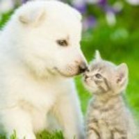 551f65e504e2d89b000dac1868249ea92ed76049