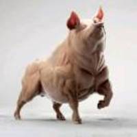 29a9bc6f6fb3c2fe56dd7c0f5dd8afbe51ee13a0