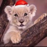 15df69f08bdf2cecc0183f504a9a322481d6ccfc