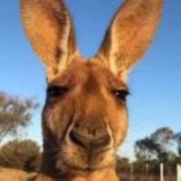 9d9361af4c612904553d85dc3a241977996fd9da