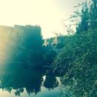 E223eea1653cd9a47c0eb8482246d27b4d14dfab