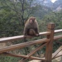 9b0be7f08c5ecceafdf2588a7afd16a958794f09