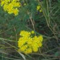 82bda604275cf9d0d02aa000f639f80be7f98068