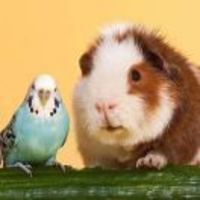 12cd6fcb6f0faef221f2b3c2ac8234c1884a5c49