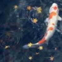 3a7621a6bc17f676929ccd46d66ec5aead8580fe