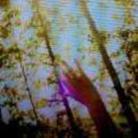 D8995363d161af5ac5f635941140f4999723ee72