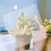 D68b0af623300ab87b95675cf9b5f378309f5284