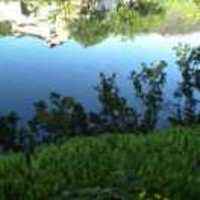 A254b567bcf3a1ae9470049e115fc5f479a1de13