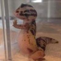 57dae0d8c1aa61fa0bfa7b00658796a833679131