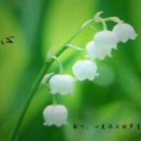 Aee84aa7d22a7afba6e1fc3d85e2fa8a9d26e140