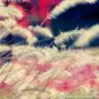 220e4deb7d0b3a6d3488e1ecde3e32b97246f589