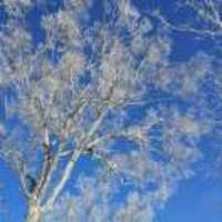 9ce8ee69f97119188c845afd1738685367e5a30b