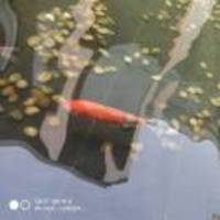 Ab66fa4ed5625ccd83c075a3cc507f5f3c1f8ef9