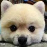 A34da50f09a7169f9b6882861f6cef3e42796429