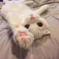 33f84185c55040baad2c1e5f6e84ce3a076b3bac