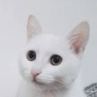 765a793b8138ba218ba557f5a67d95a6e675d8f0