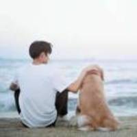 D639b1ae23d6499f67f52f027dd6ee334e4a5132